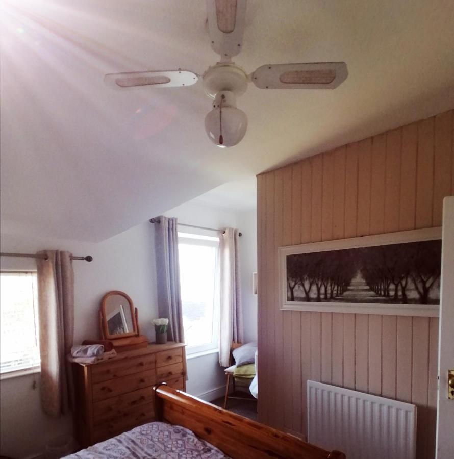 Castle Hill Cottage & Paddlers Retreat Ballywalter Buitenkant foto
